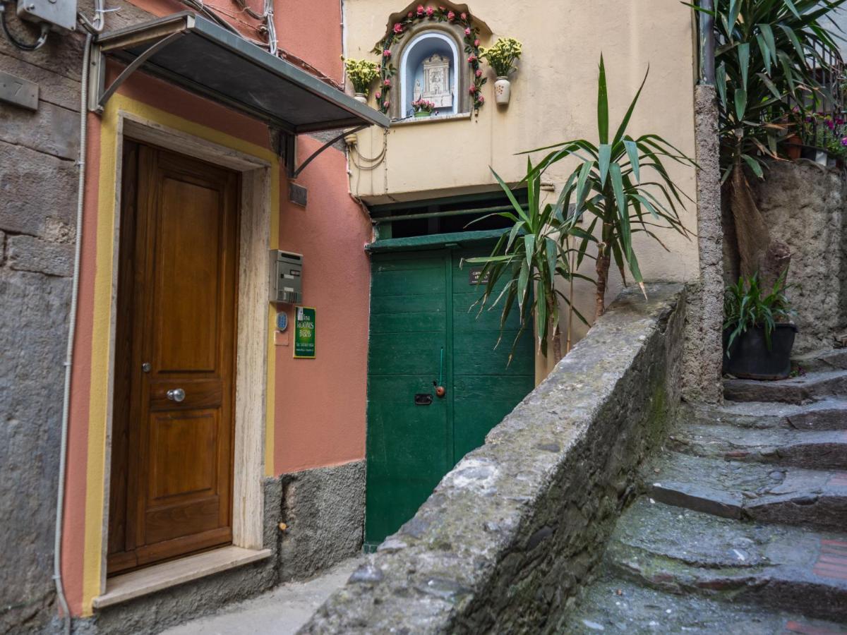 Apartment Camaella Luxury